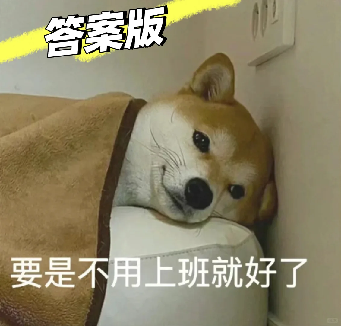 第一份行研实习真的很好找（超全答案版）