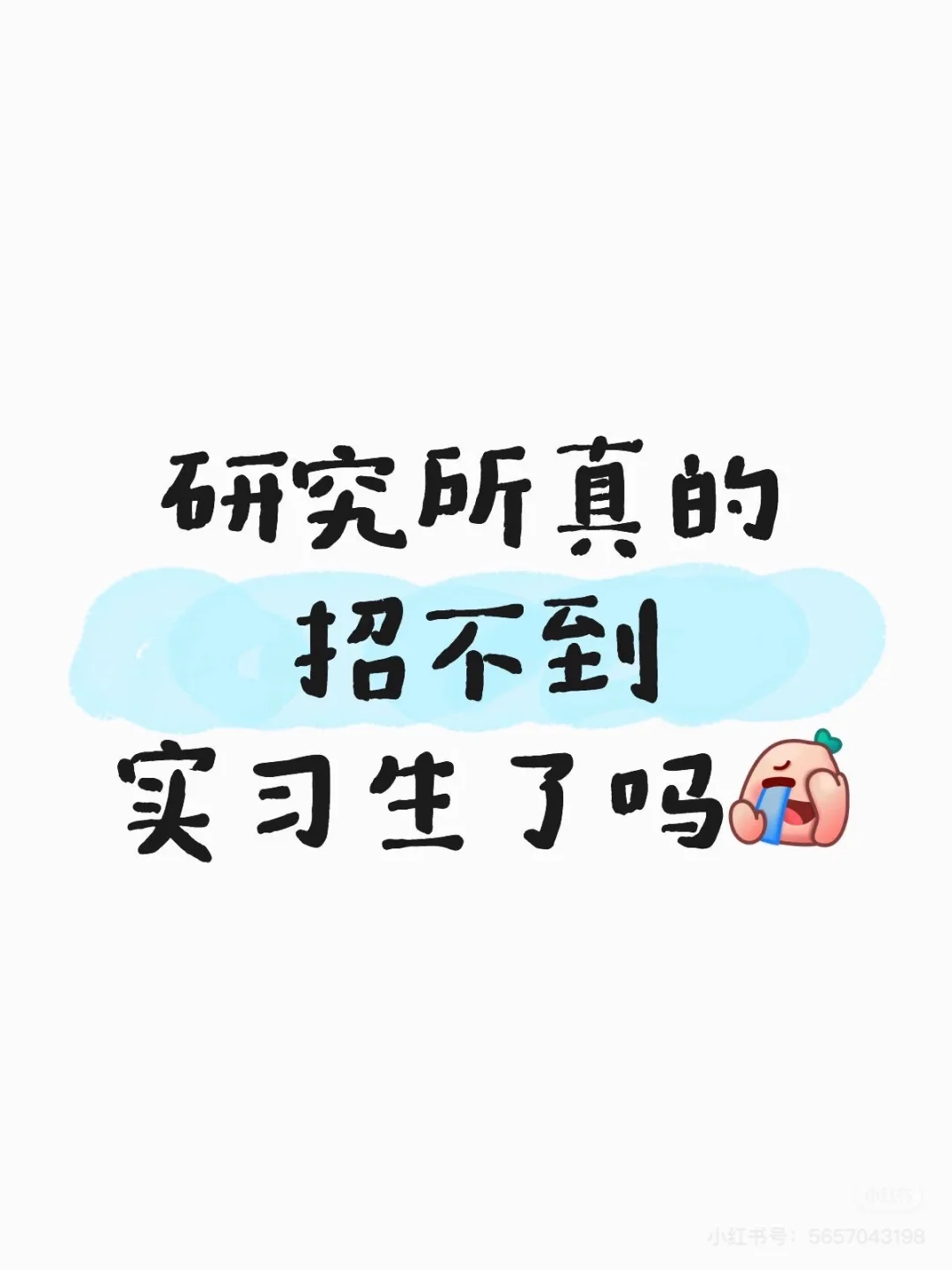 还有人愿意来研究所实习吗?