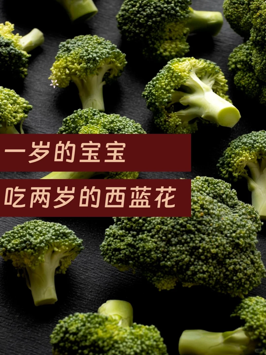 我们关心的不仅仅是预制菜-2025预制菜市场