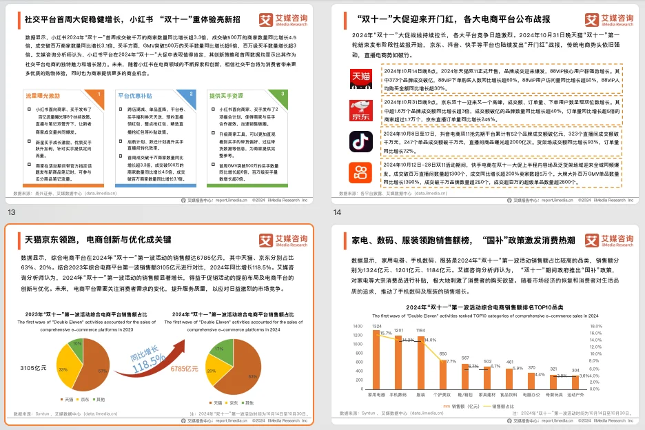 2024年中国电商“双十一”消费大数据监测报告