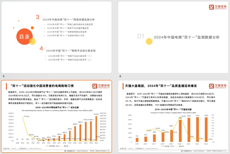 2024年中国电商“双十一”消费大数据监测报告