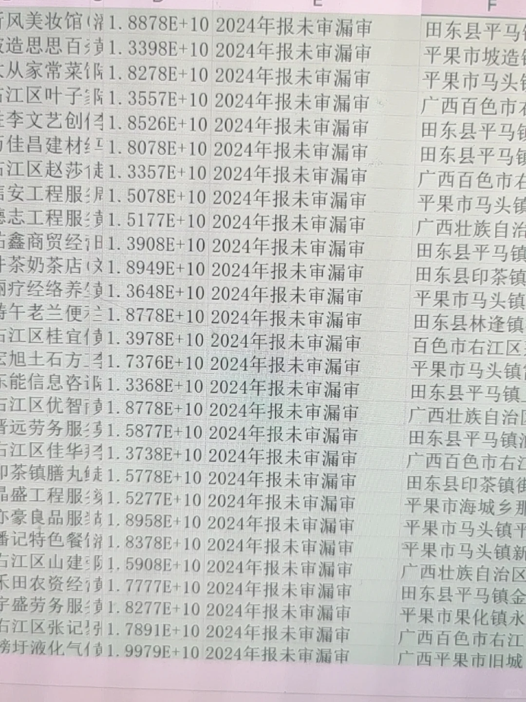 24年25年最新企业年报数据2024年未审，年报
