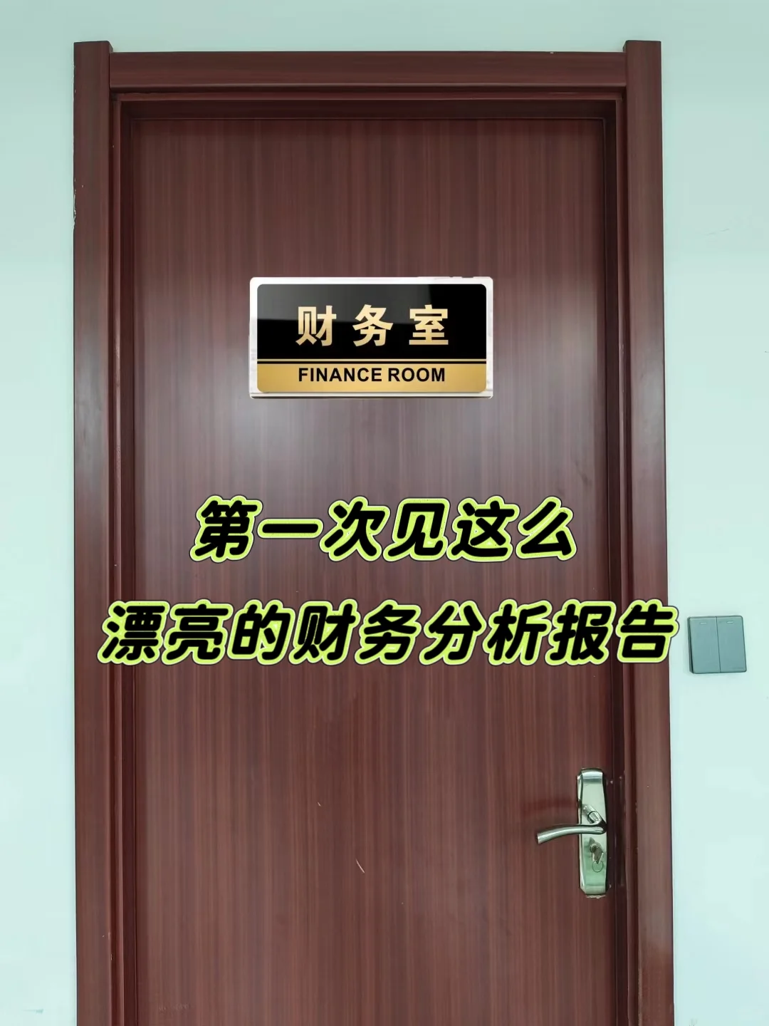 还是第一次看到这么漂亮的财务分析报告，新