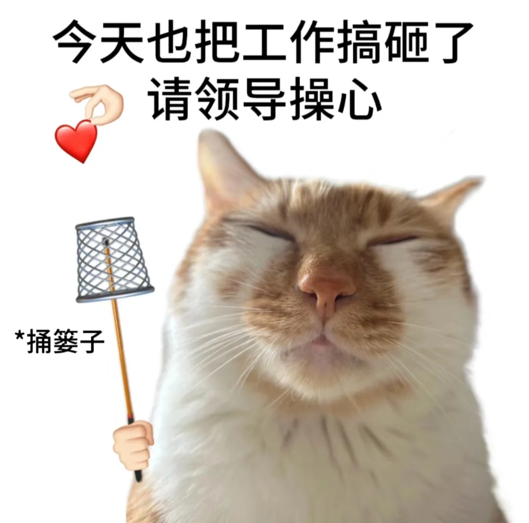 985社科女在top市场调研公司实习三周的感受