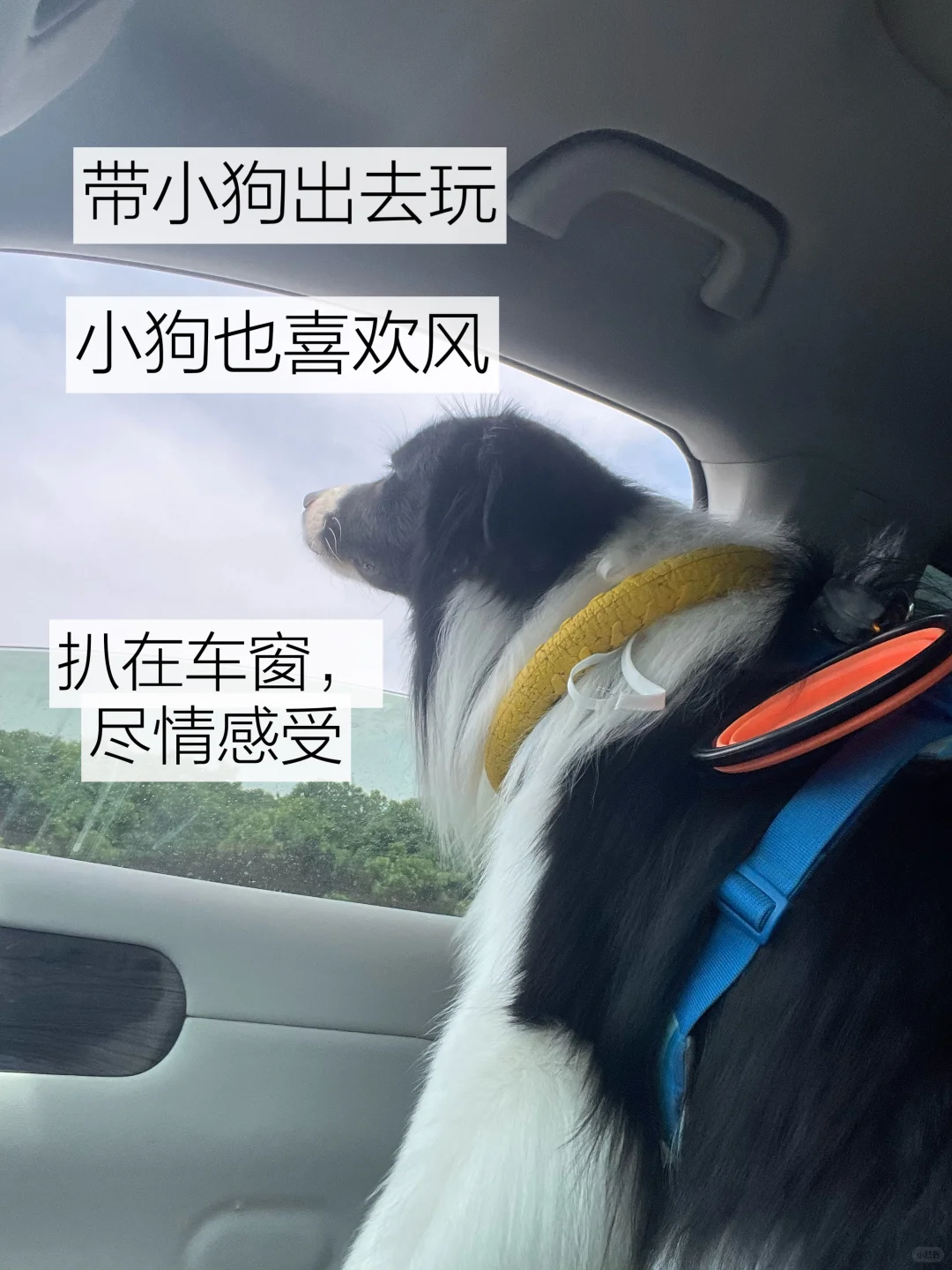 海外社媒工作日常① | 市场调研
