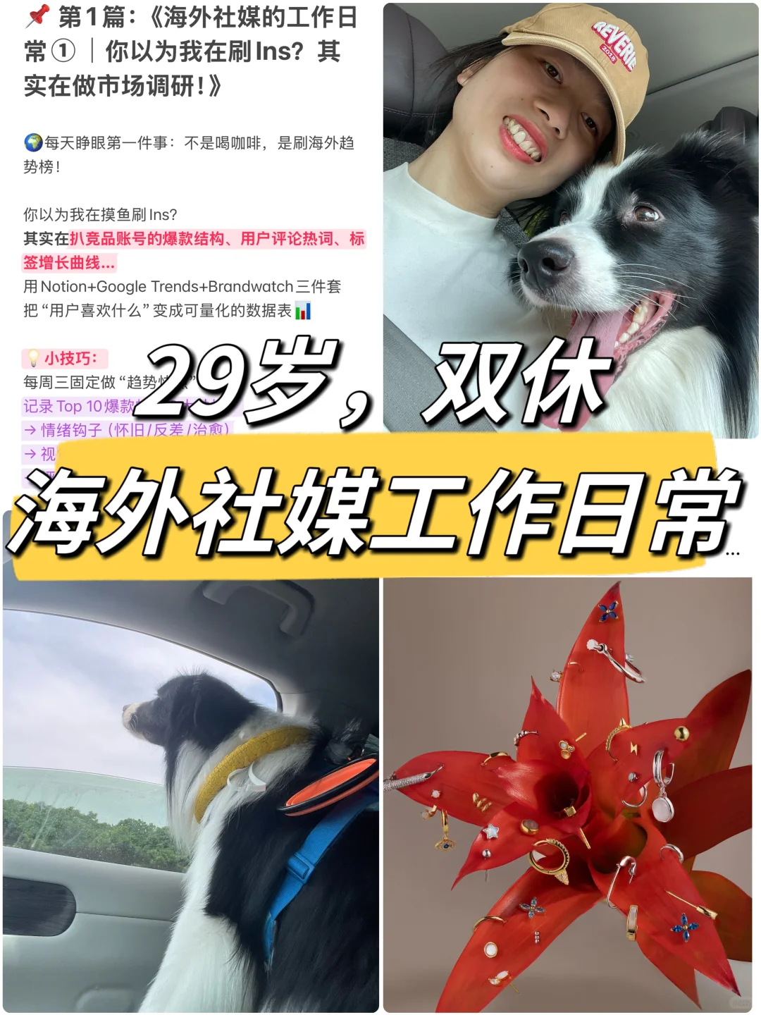 海外社媒工作日常① | 市场调研