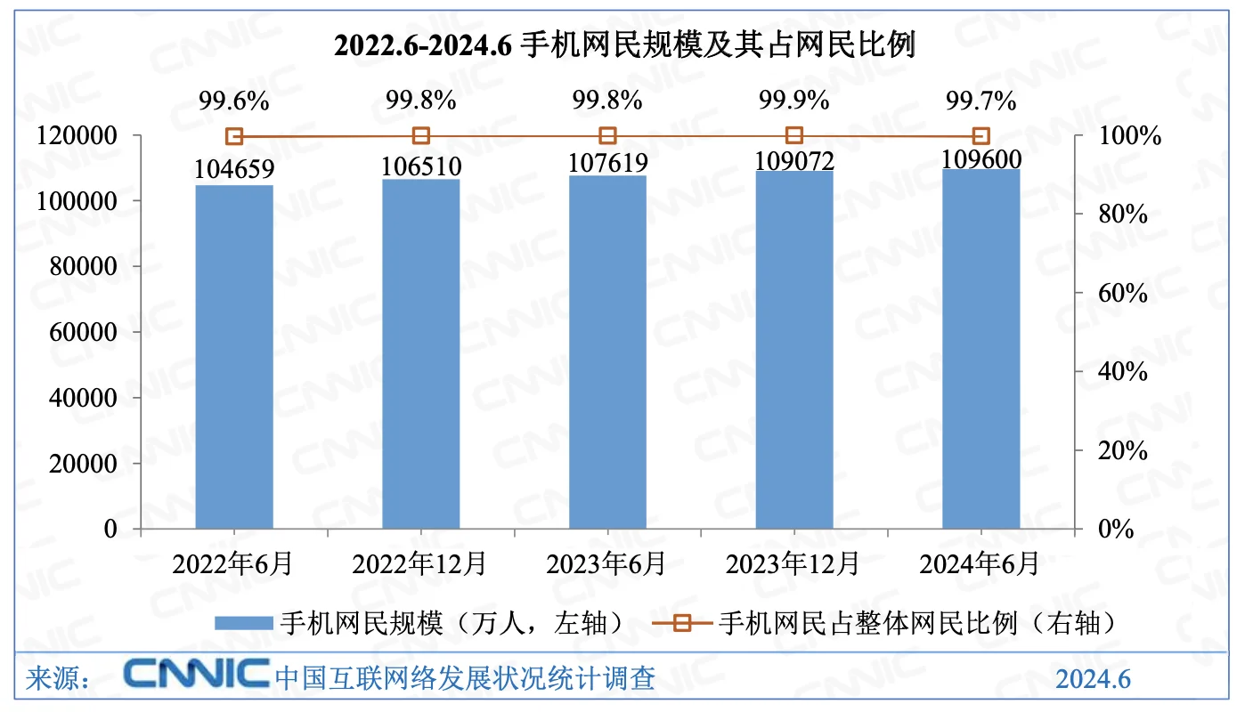 第54次《中国互联网络发展状况统计报告》