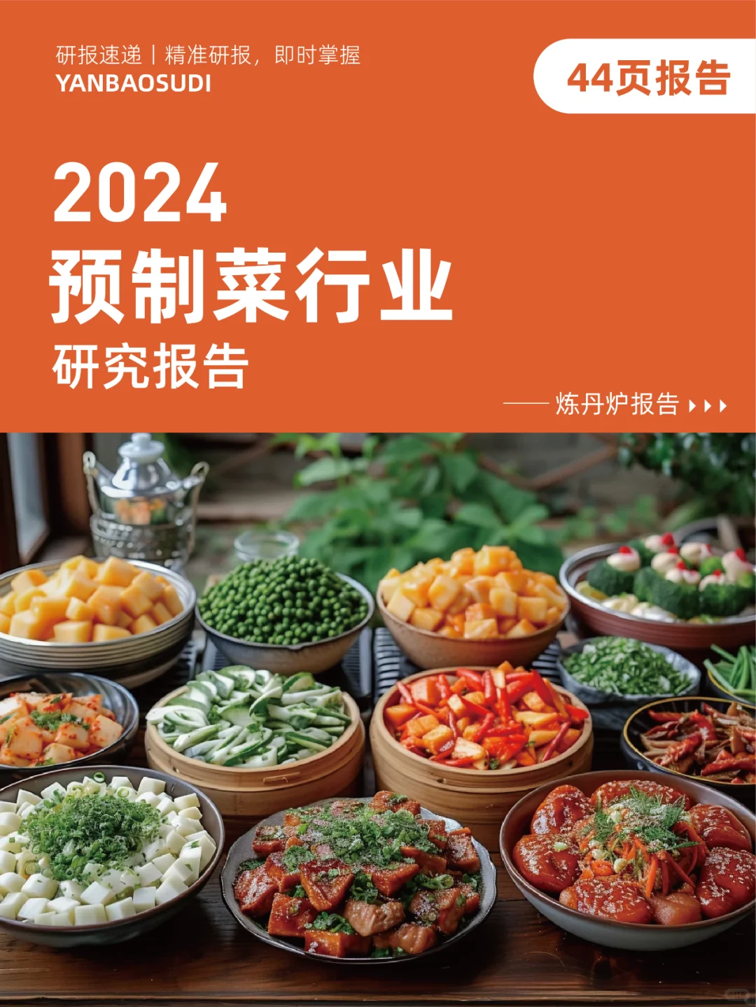 2024预制菜行业研究报告，预制菜发展趋势