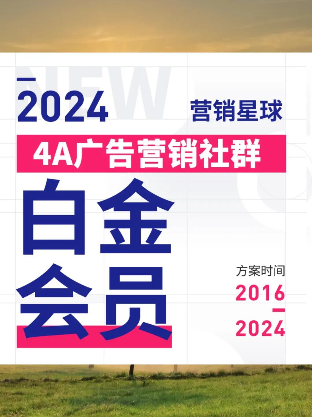 2024白皮书行业研究报告大揭秘🎀