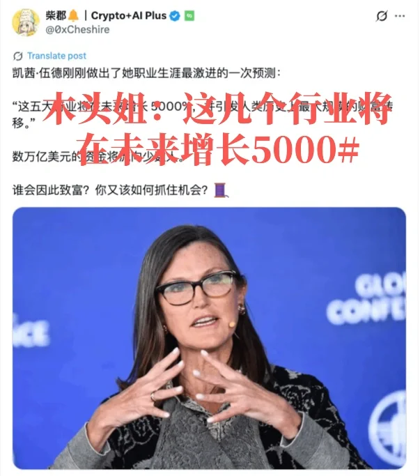 木头姐：这几个行业就在未来增长5000%