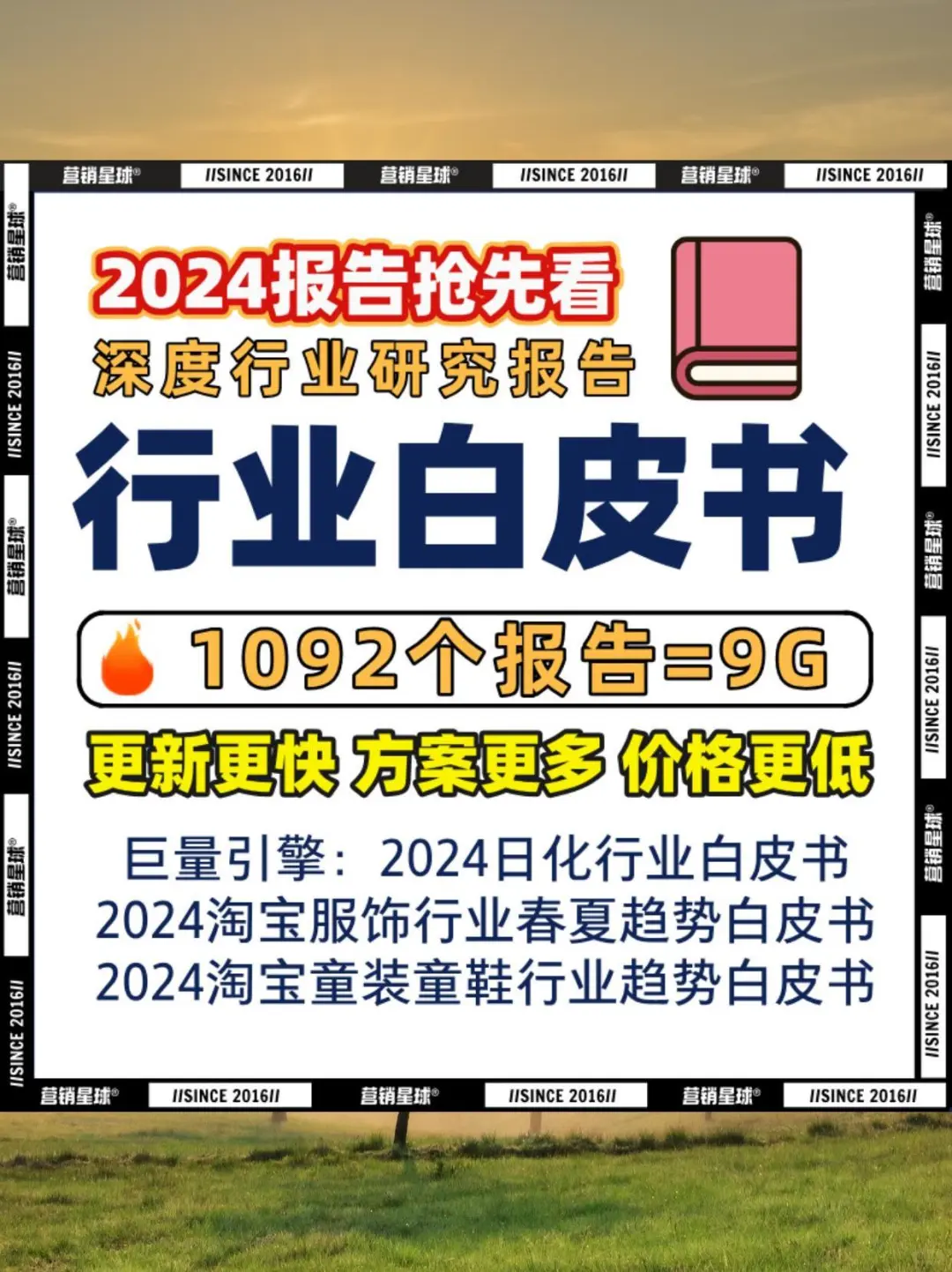 2024白皮书行业研究报告大揭秘🎀