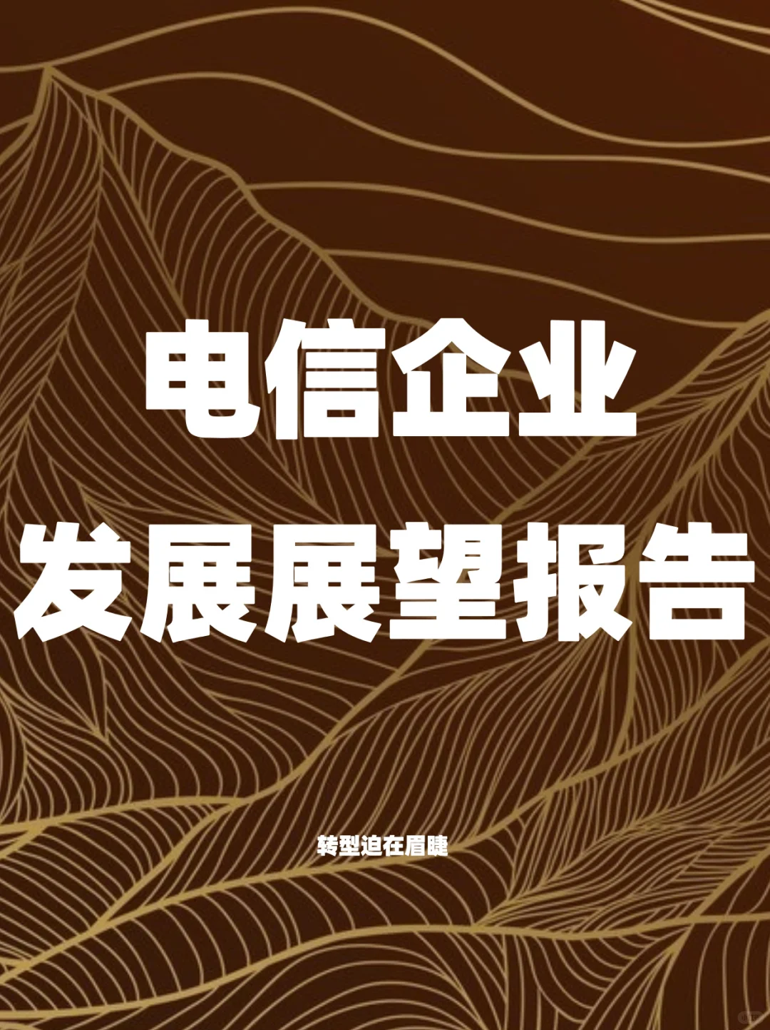 电信业发展展望报告