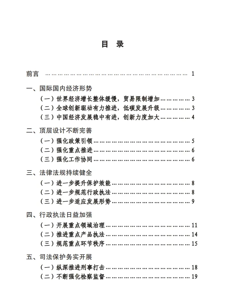 《中国打击侵权假冒工作年度报告（2024）》
