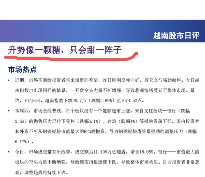 越南的券商研报很会起标题