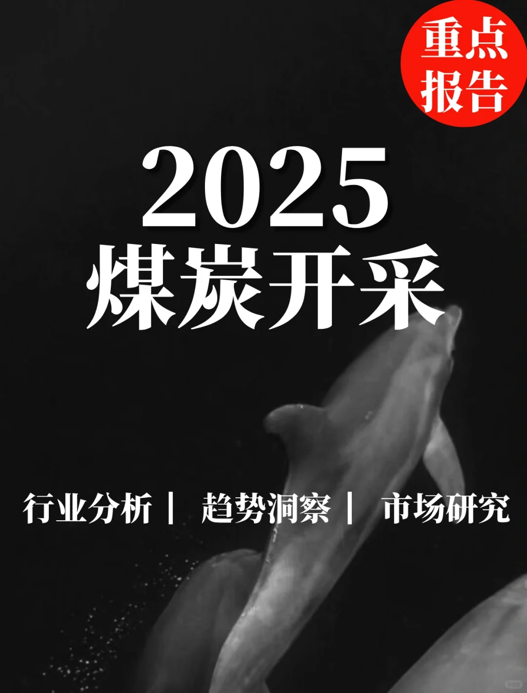重点报告|煤炭开采行业3月数据全面解读