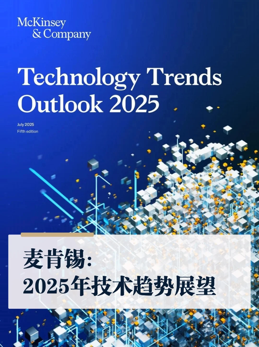 麦肯锡：2025年13大技术趋势展望