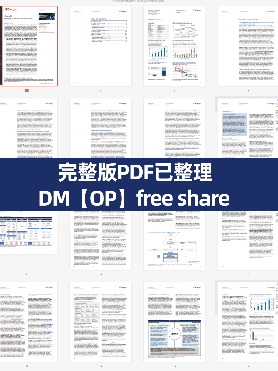 JPMorgan新发的OpenAI研报还是太全面了...