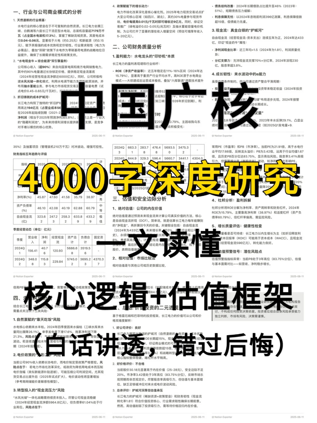 中国广核 4000 字深度研报