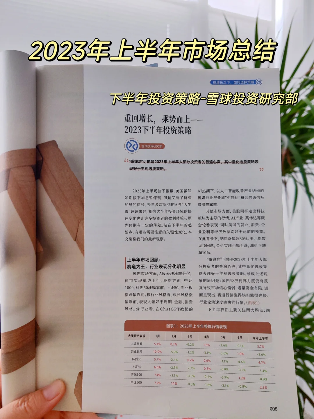 ㊙️干货❗雪球参考｜2023下半年投资策略