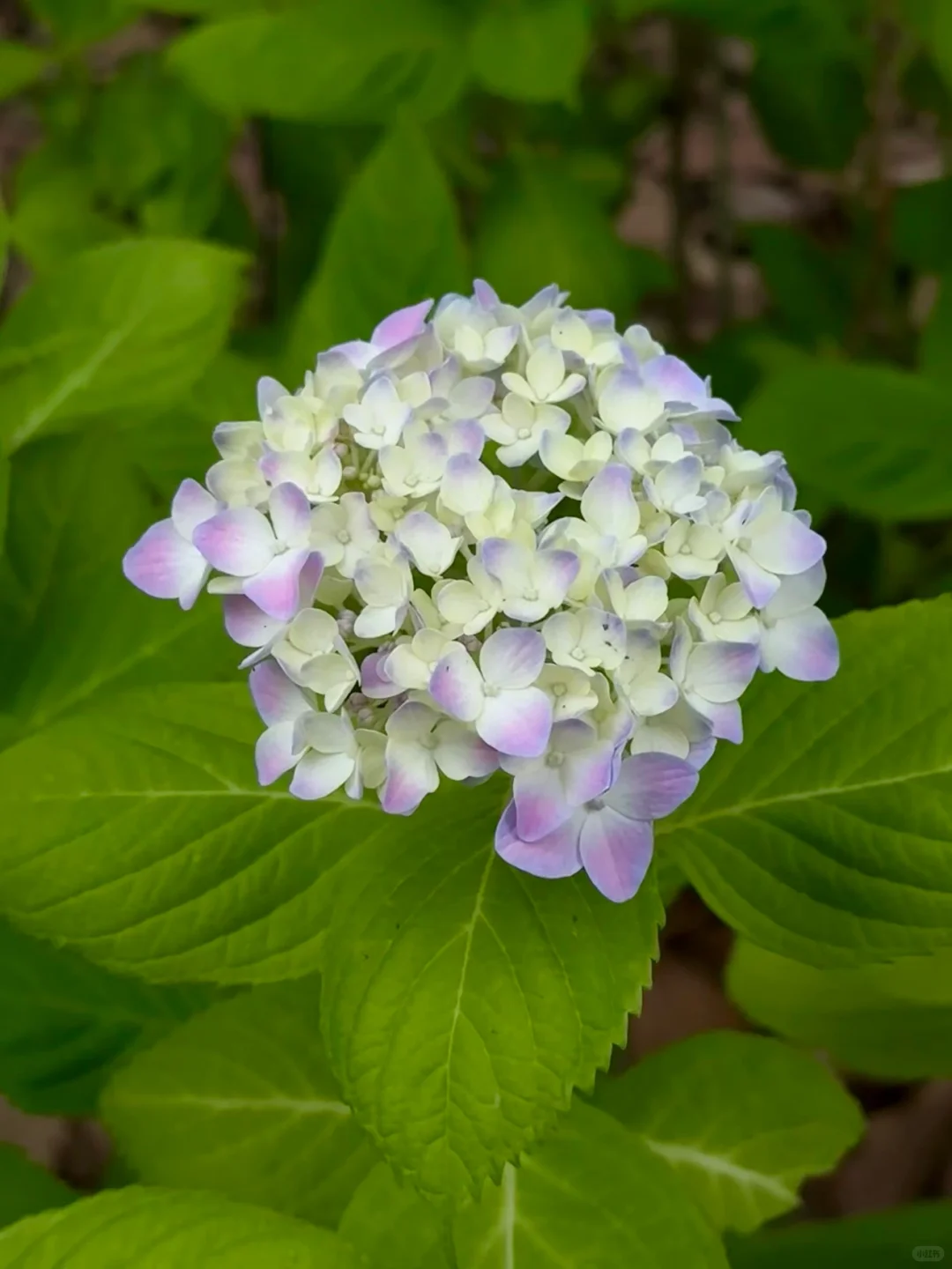 翻烂这本书，投研心得会有质的飞跃！