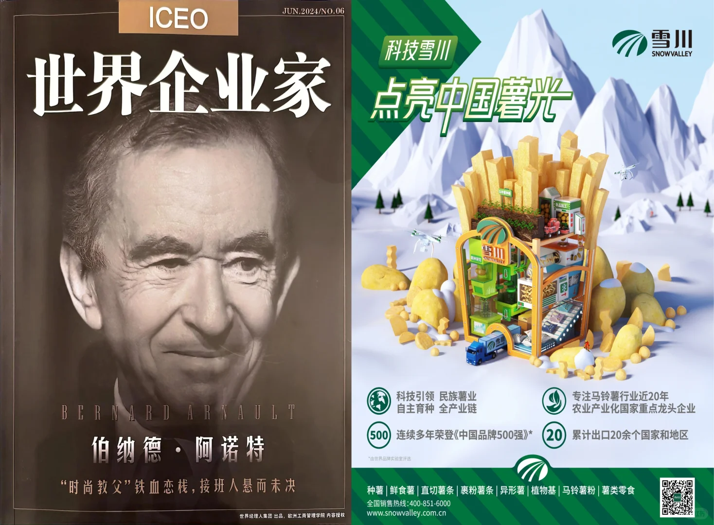 雪川连续4年荣膺中国品牌500强！！