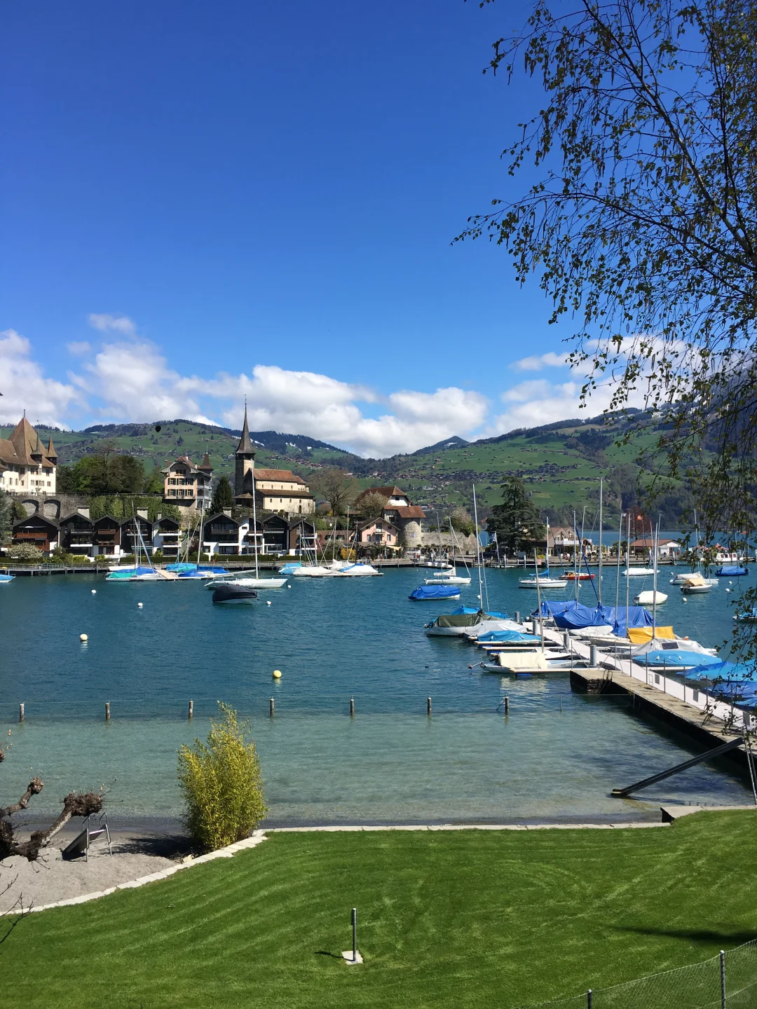 一开始，没有人相信有牛市