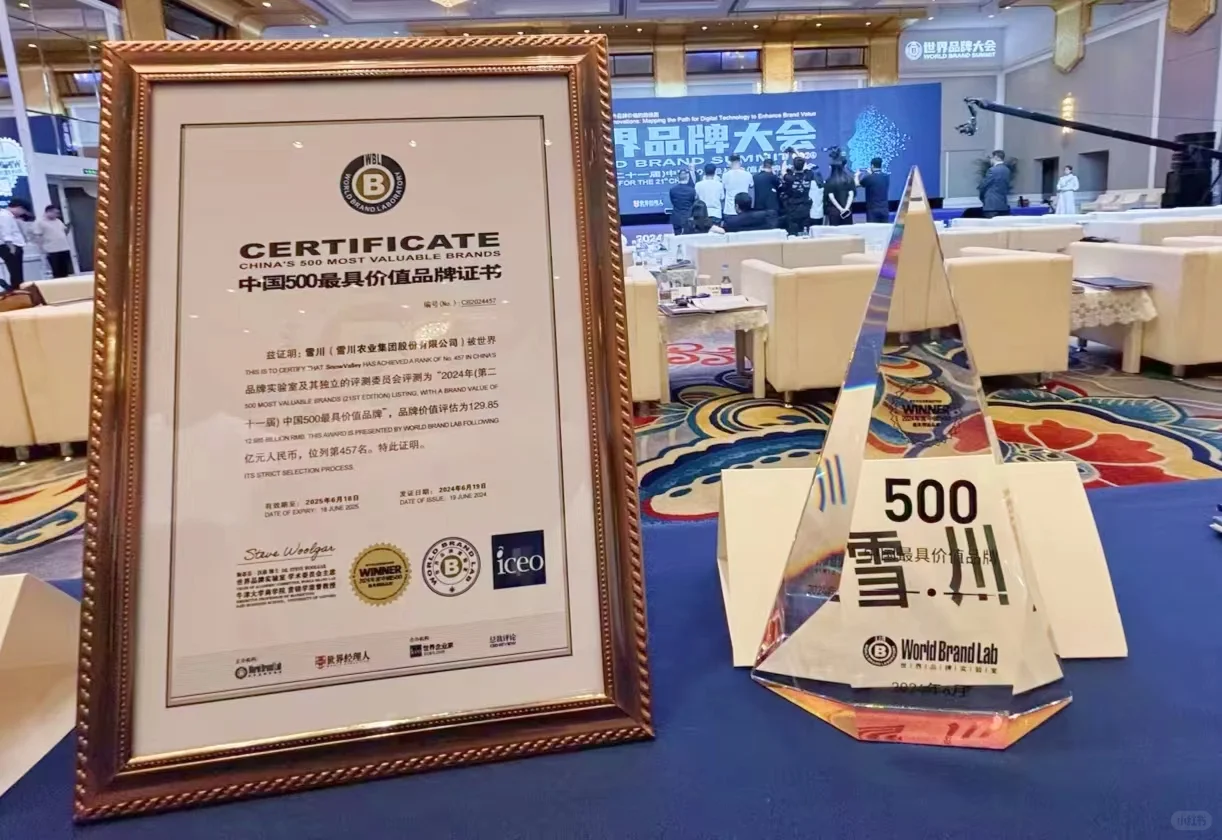 雪川连续4年荣膺中国品牌500强！！