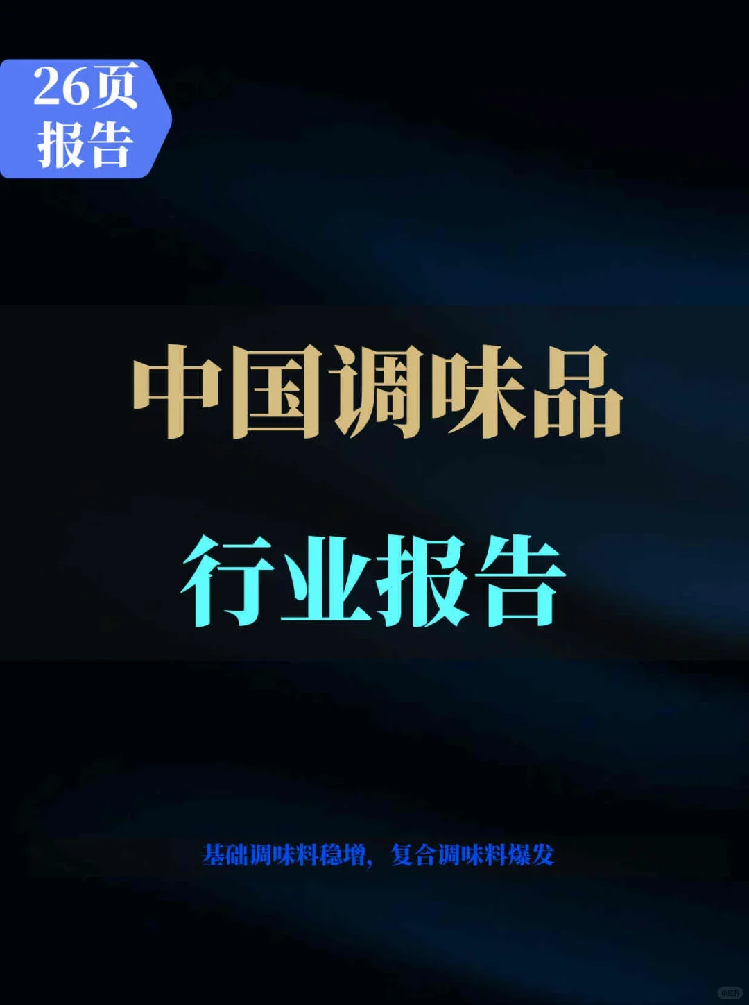 2025年中国调味品行业报告