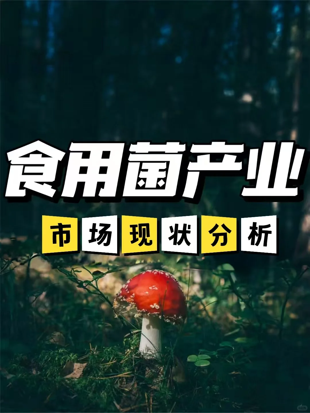 前线战报—市场分析报告新鲜出炉！