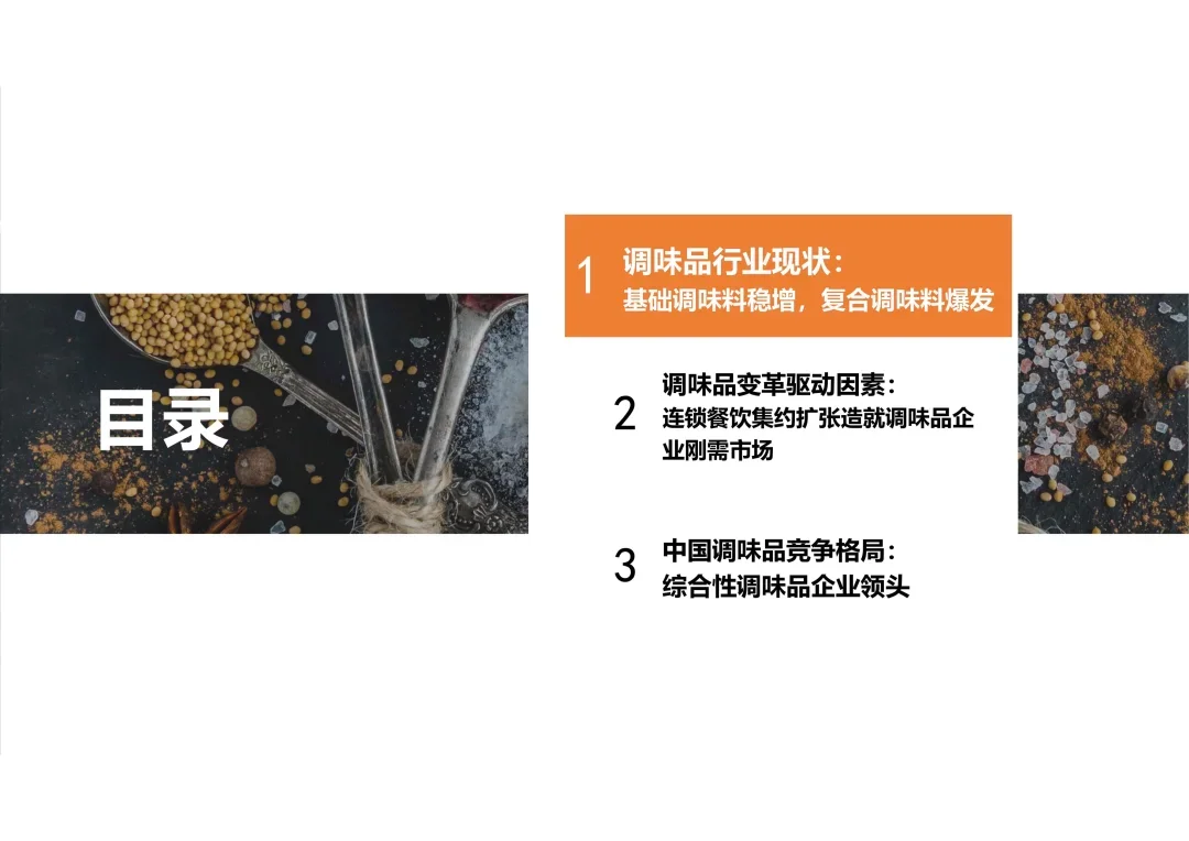 2025年中国调味品行业报告