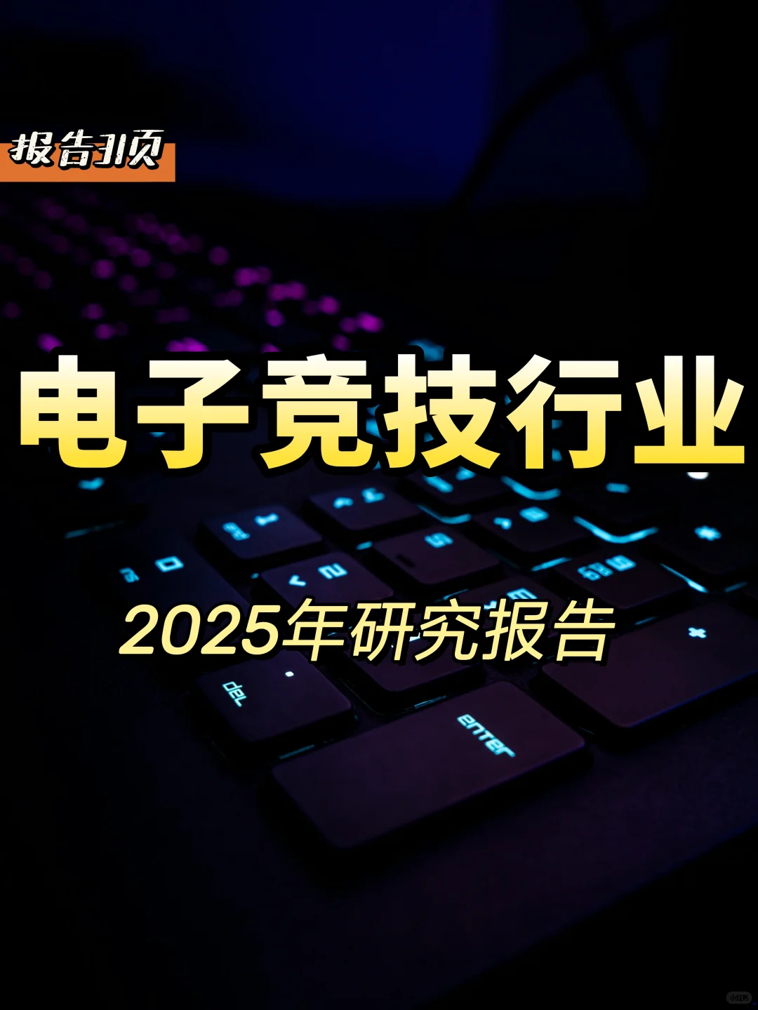 2025中国电竞行业研究报告