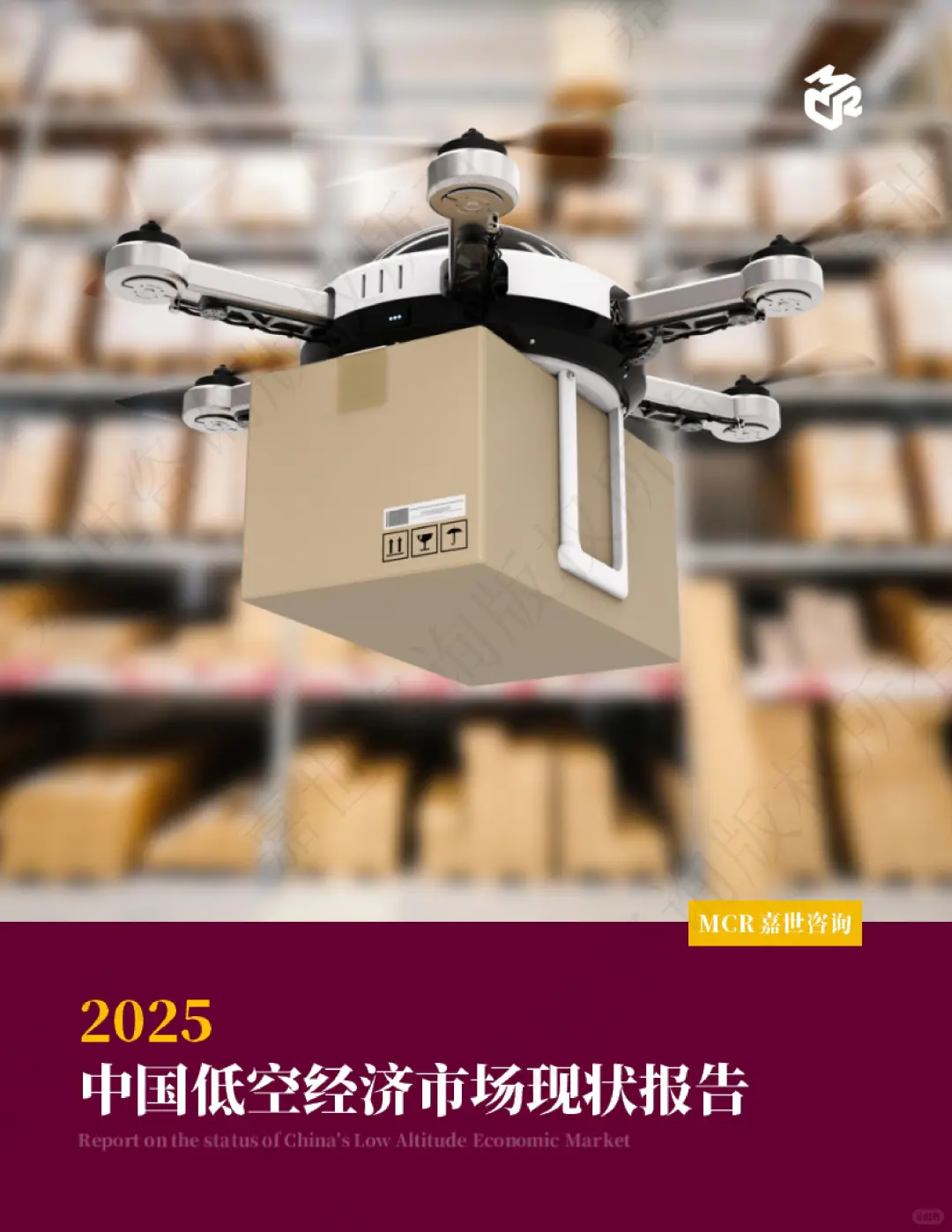 🚁2025 中国低空经济市场报告解析✈️