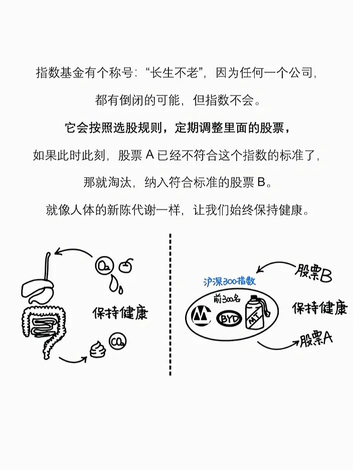 巴菲特打了个赌 震惊全球金融圈