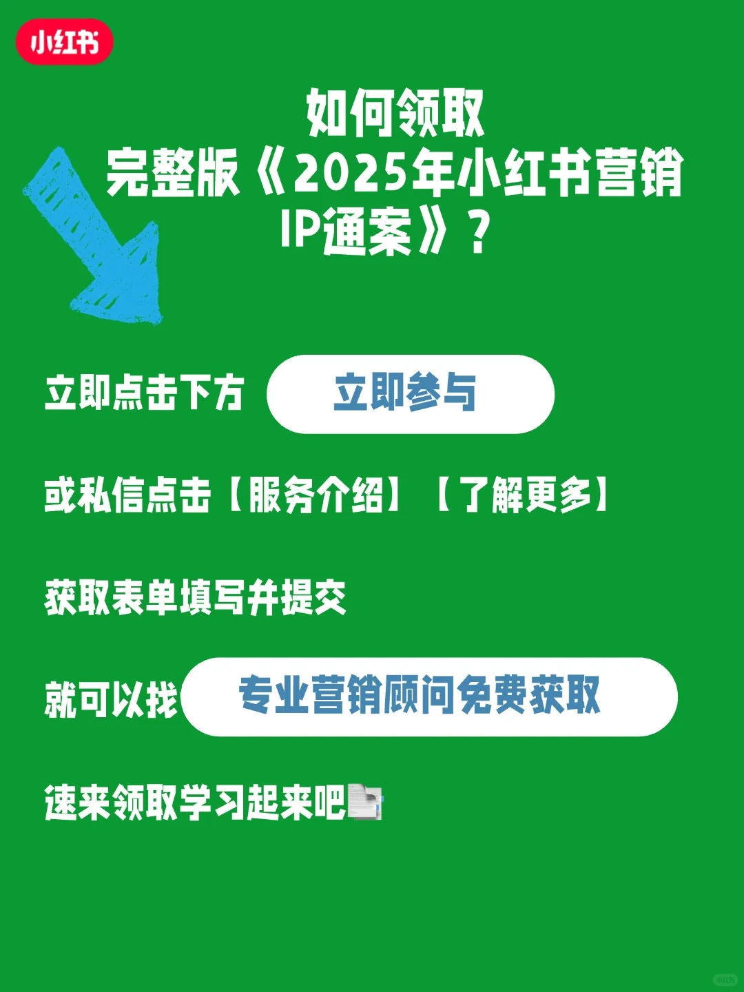 🔥小红书2025营销IP版图，一键开启好势