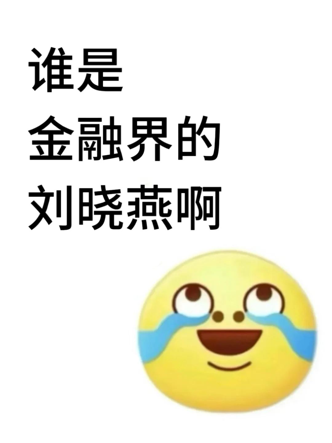 谁是金融的刘晓燕啊啊啊啊啊
