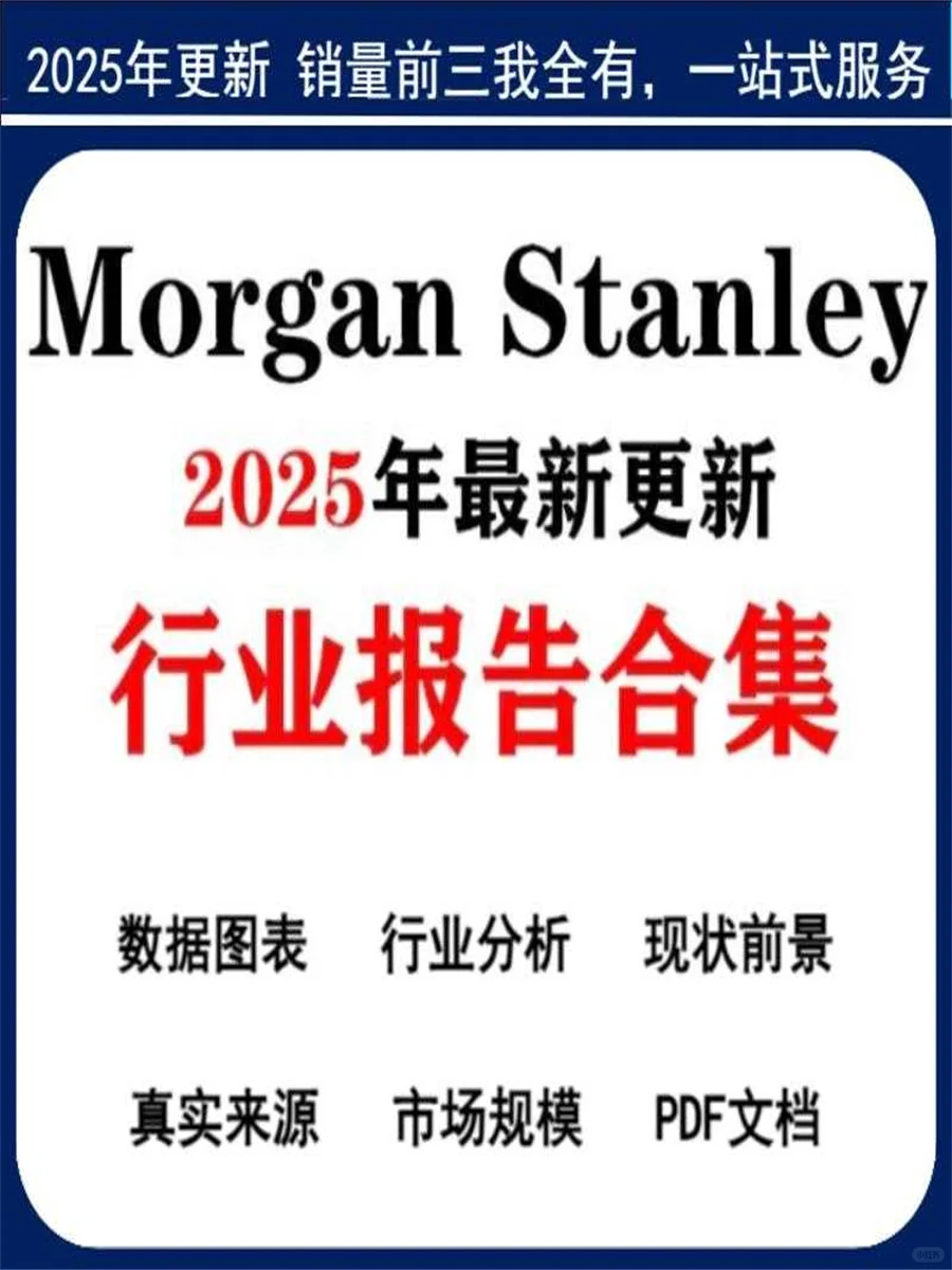 2025 大摩投行研报合集