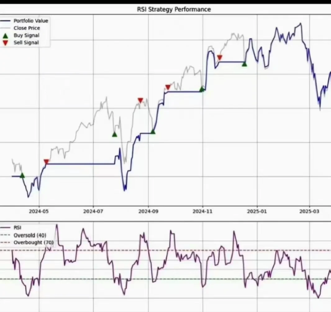 量化基金策略 分析报告 量化金融建模python