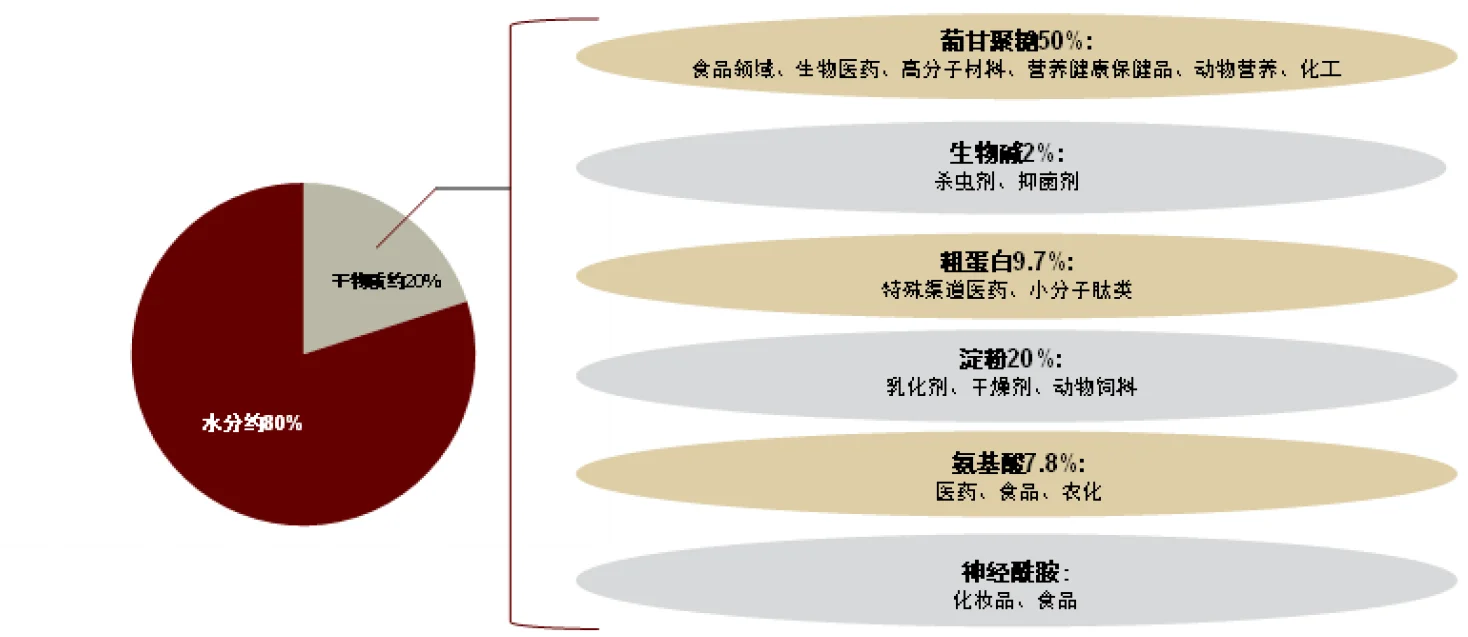 🔥中金研报！400 亿魔芋赛道爆火真相