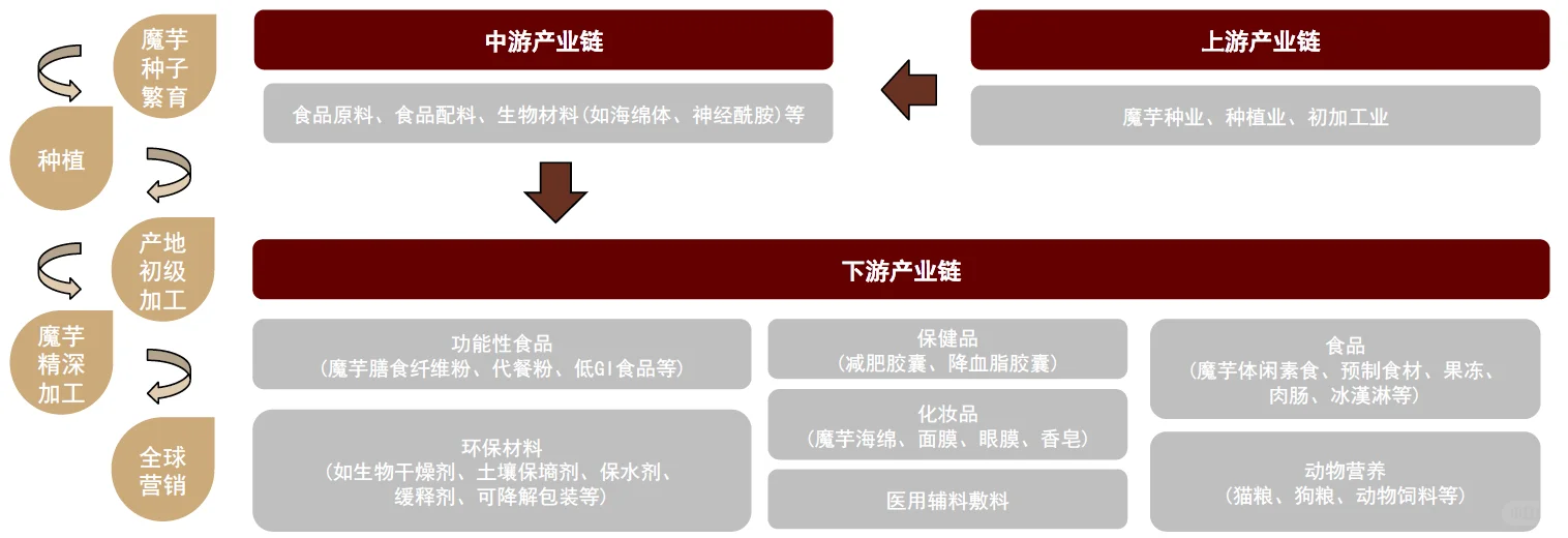 🔥中金研报！400 亿魔芋赛道爆火真相