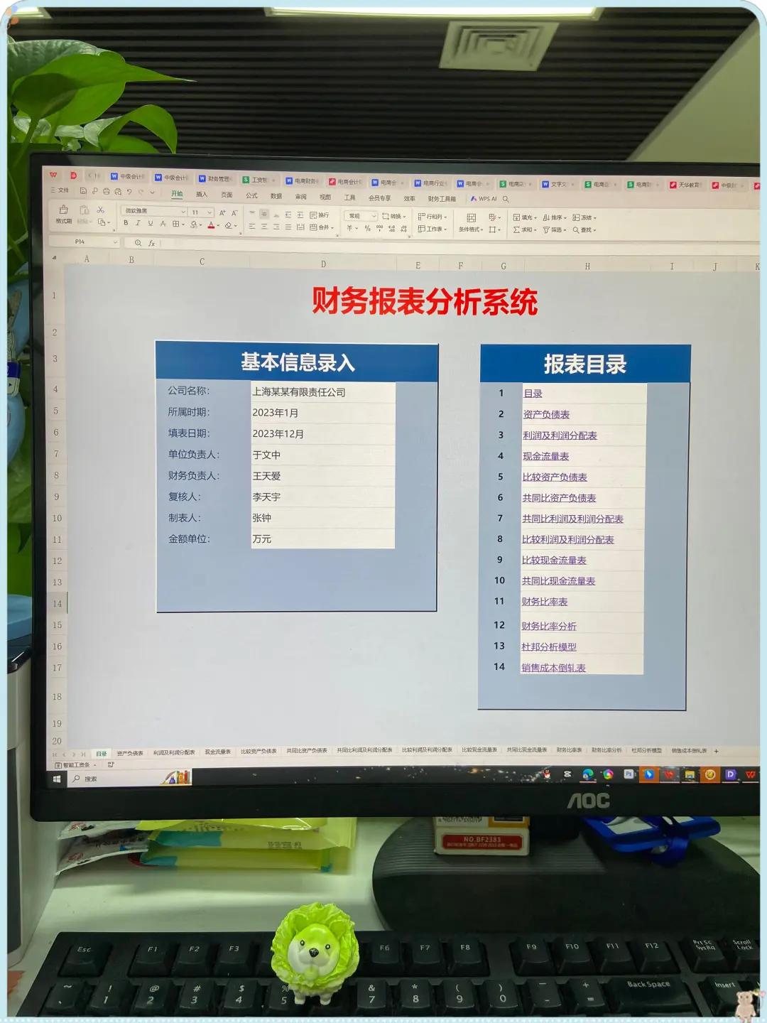 这可太好了，财务分析以后不用去问别人了😭