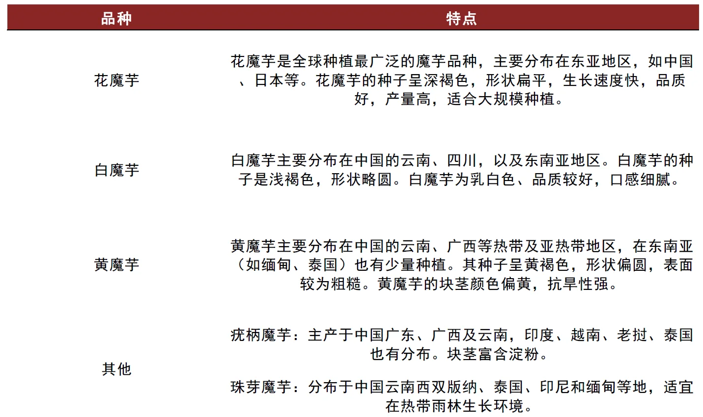 🔥中金研报！400 亿魔芋赛道爆火真相