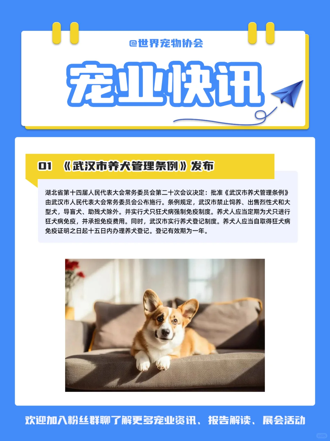 一周宠业快报 | 全球热点与市场洞察