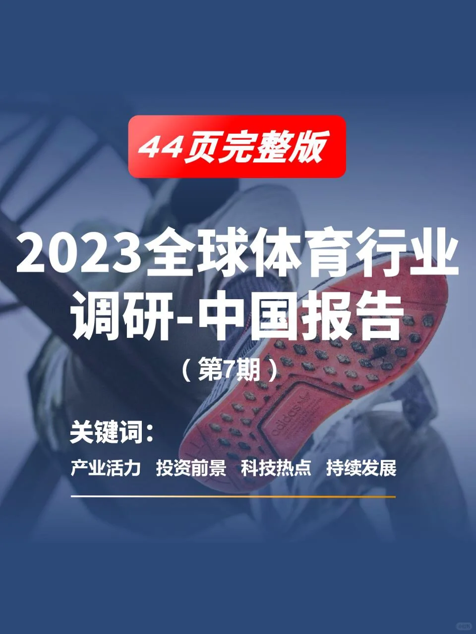 44页完整版｜2023全球体育行业调研中国报告