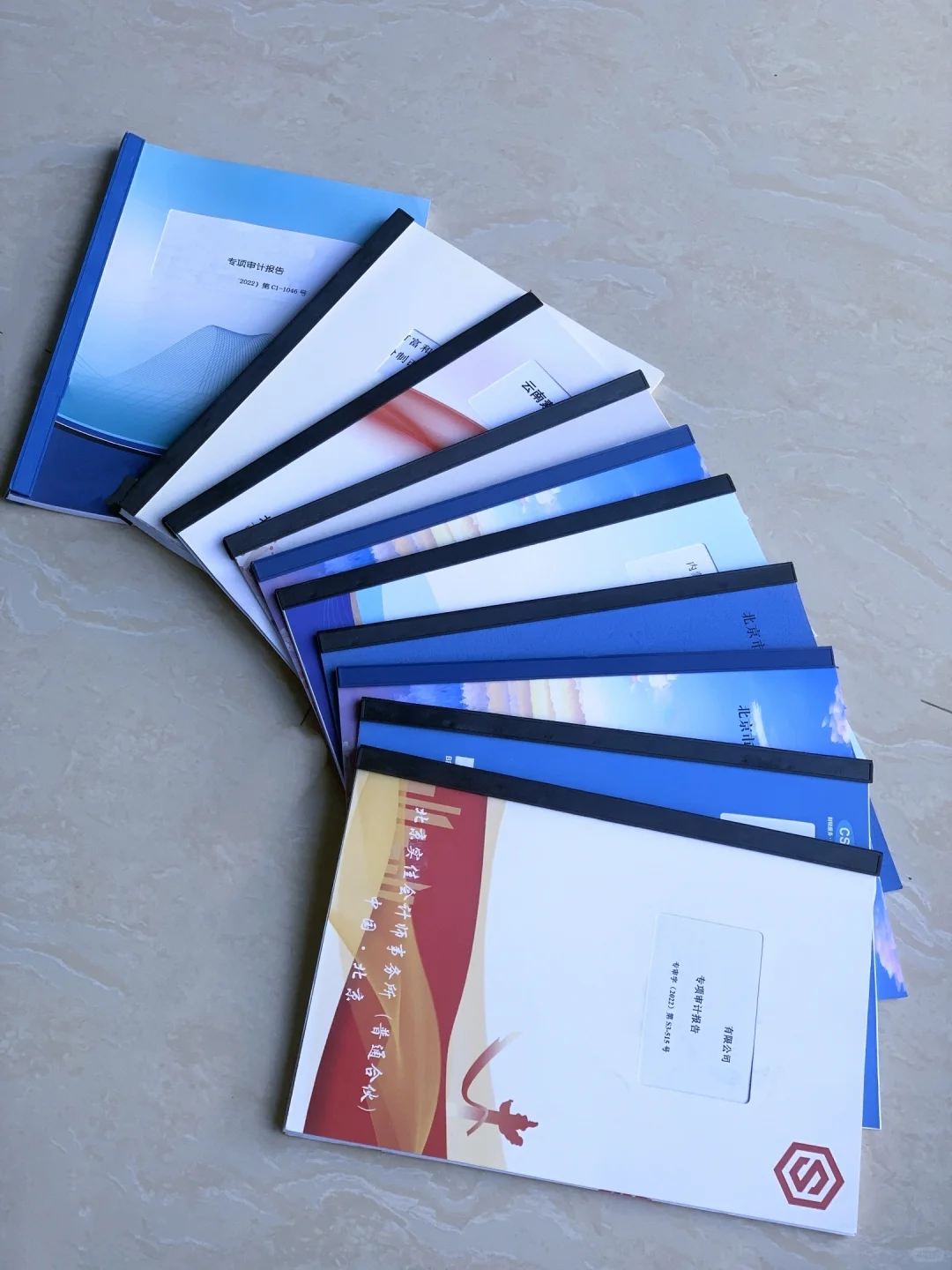 📄审计报告:了解公司真实情况的关键