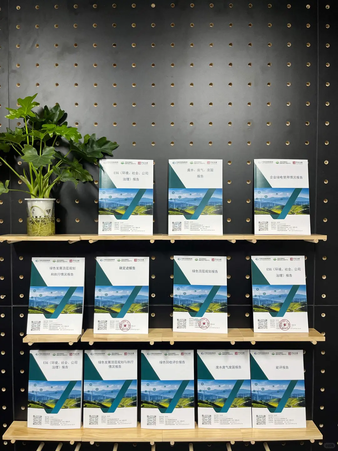 ESG系列报告来啦