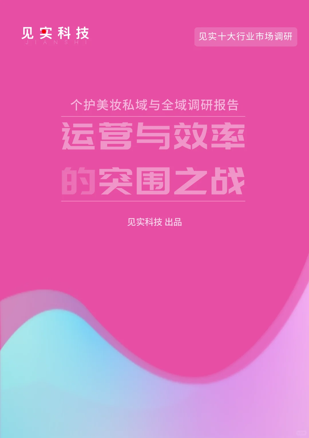 见实科技十大行业调研报告，私域付费查看