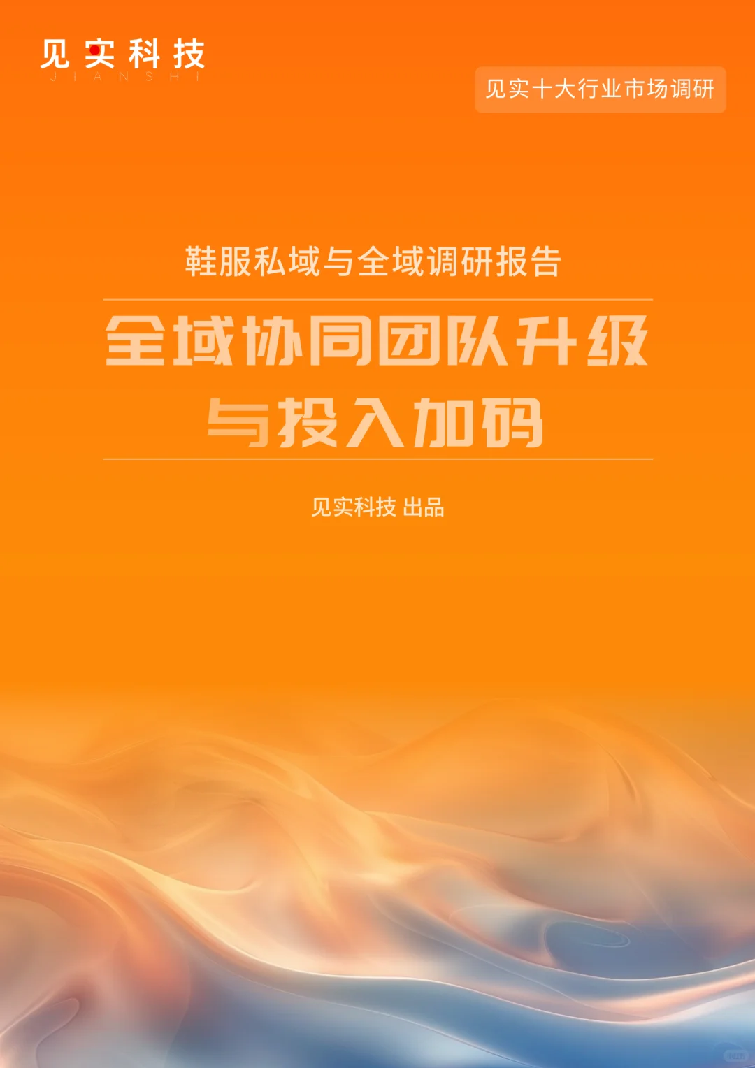 见实科技十大行业调研报告，私域付费查看