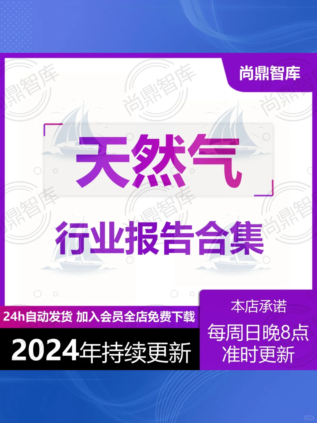 2025天然气行业报告📊燃气市场分析