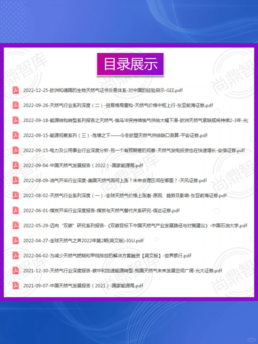 2025天然气行业报告📊燃气市场分析