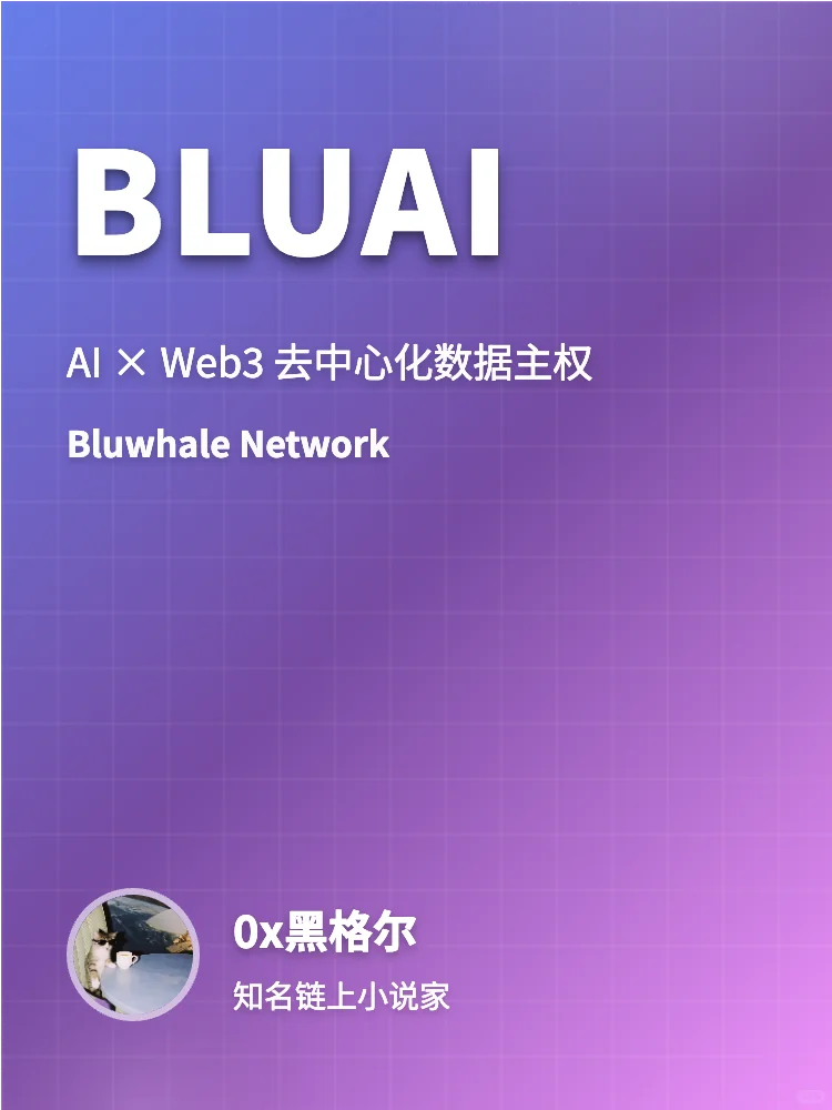 BLUAI深度研报 82分优质项目